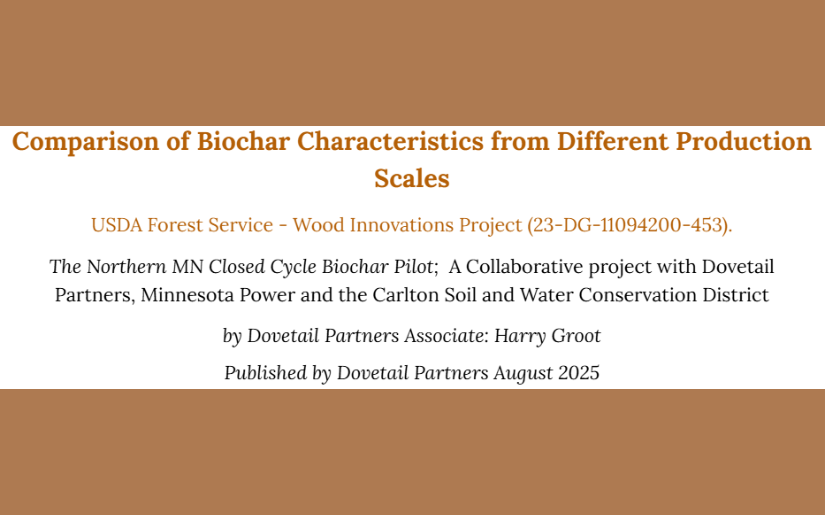 Comparison of Biochar Characteristics from Different Production Scales